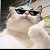 mohammad.faiz596