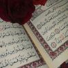 omsafa285