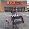 biglots.brownsvil