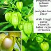 dhipa60146