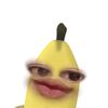 xywdaa24_