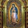 francimar.florez