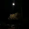 .dx4ani3l.zb