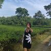 ritika.amgain