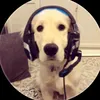 dominic_gamingroblox