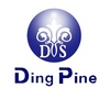 Dingsong Cosmetics Factory