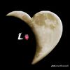 lamar_8232