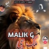 maliksabg.786