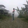 azza.yali