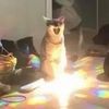 sky_playz16