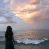 whynot_801