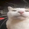 joletmariano0