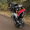alifefeijo159