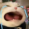dongocnga5