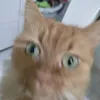 alexis_edw
