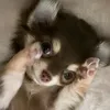 _ilovelylulu_