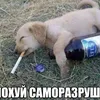 vilka.as
