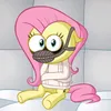 charlottheladybird