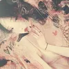 cherry_64650