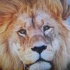 nabil123456789090