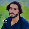 mastqalander.11