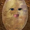 adelpaaaa
