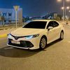 ynmeo_17