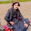 shair.ali.shair.a62