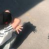 blackperson00