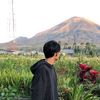 dkamsw