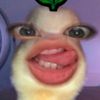 delieen_