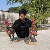 onnguyn277