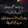 hasnainmunawar00