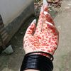 fariya41270