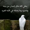 user7997597920811