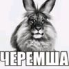 wowodymyr