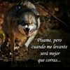 luna.flores144