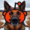 Reddit Rocky