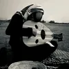 nvil_14