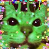 luppupe