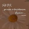 esma.nur5625