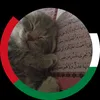 0akhira.over.dunya0