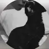 riiirz1
