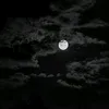 unbuu046