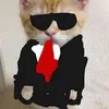 alanzinho669