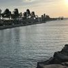 amal51581