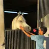 abu...ra3d