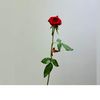 bit.alsheikh8