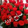 mrayamamin589