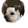 user1513116071387